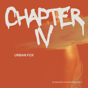 Chapter IV