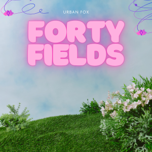forty fields